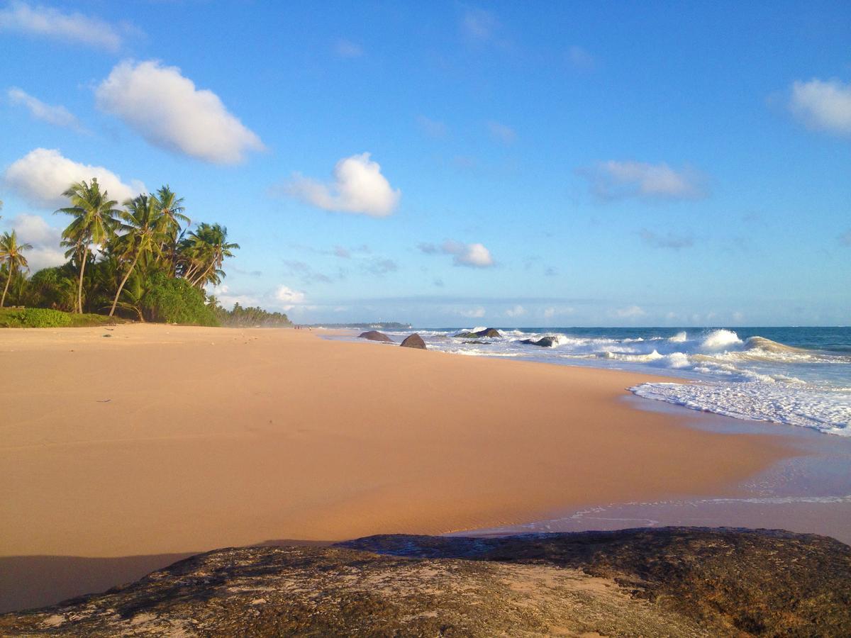 New Shangrela Beach Resort Амбаланґода Екстер'єр фото